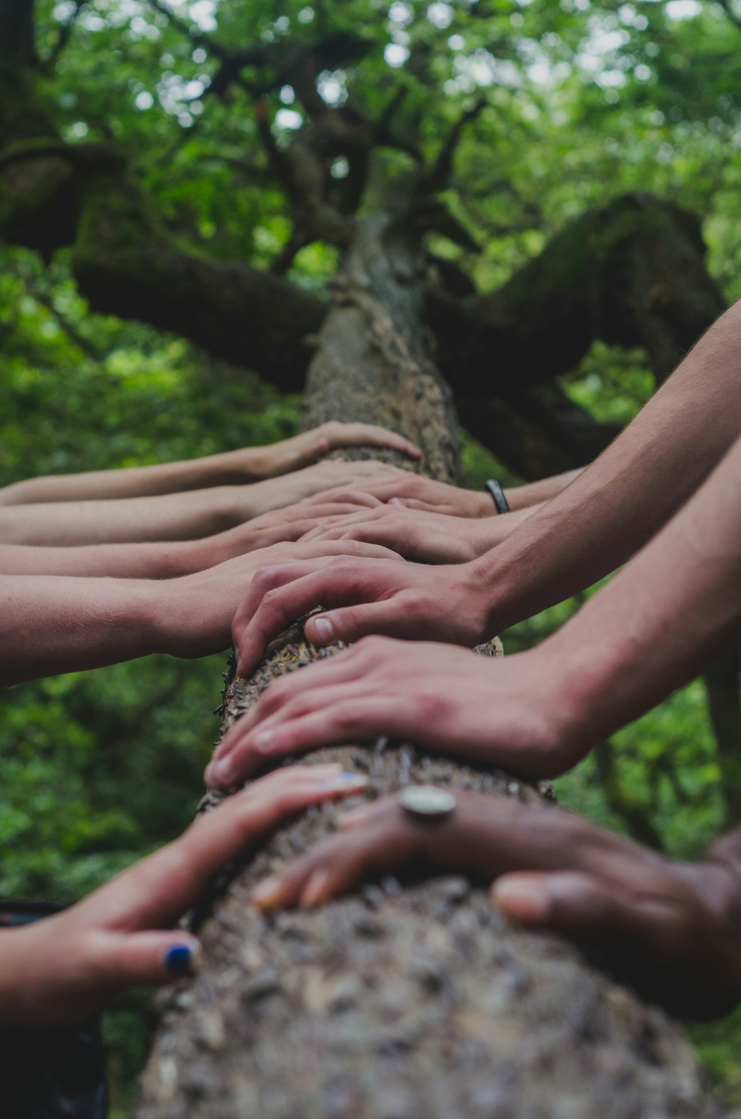 Why Collaboration is Key to Community Growth